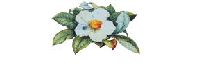 Peggy Crosby Center